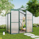 4x6ft Green Framed Garden Greenhouse with Vent